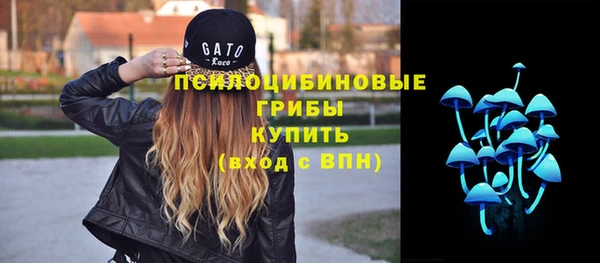 винт Алзамай