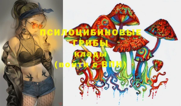 круглые Алексеевка