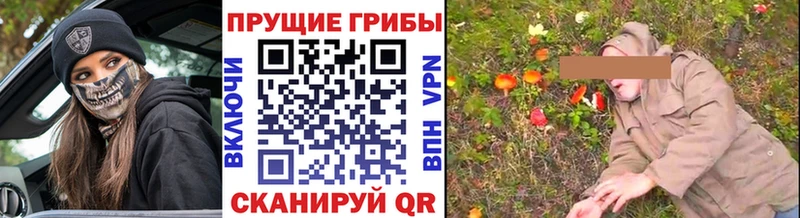 Псилоцибиновые грибы Magic Shrooms  цены наркотик  Канск 