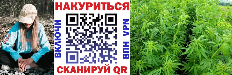 Бошки марихуана семена сколько стоит MEGA рабочий сайт Канск